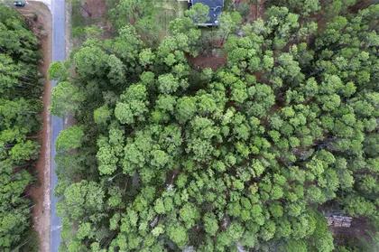 EUSTIS FL Property