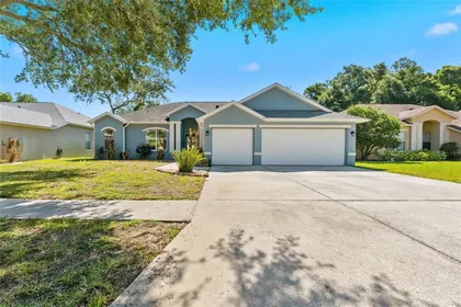 VALRICO FL Home