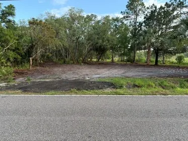DE LEON SPRINGS FL Property