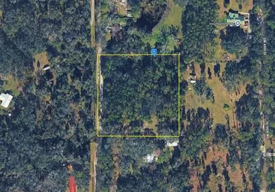 WEBSTER FL Property