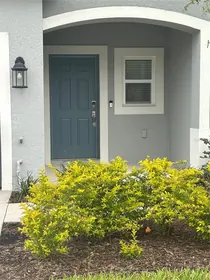 WESLEY CHAPEL FL Home
