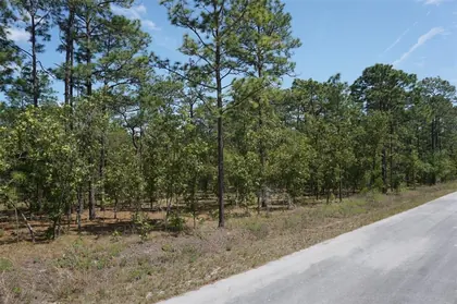 DUNNELLON FL Property