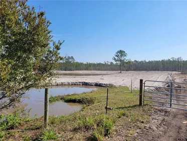 NEW SMYRNA BEACH FL Property