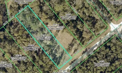 WEBSTER FL Property