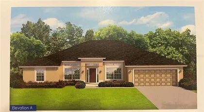 SUMMERFIELD FL Home