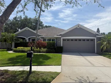 TAMPA FL Home