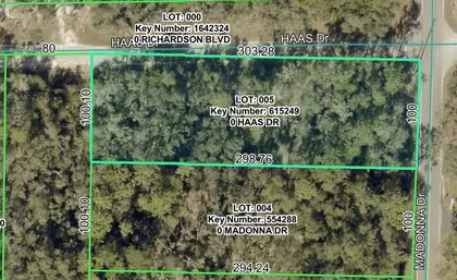 WEBSTER FL Property