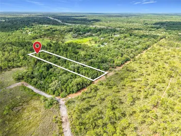 MIMS FL Property
