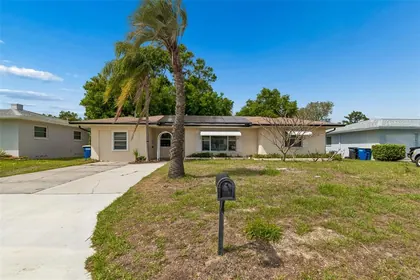 CLEARWATER FL Home