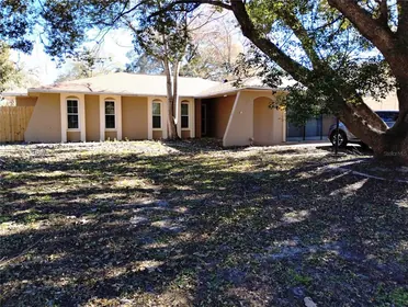SPRING HILL FL Home