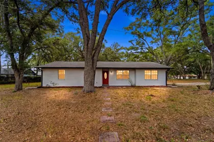 VALRICO FL Home