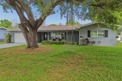CLEARWATER FL Home