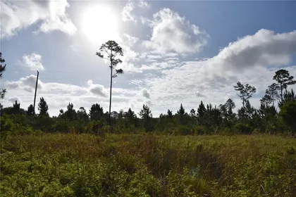 FORT MC COY FL Property