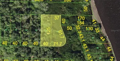 PUNTA GORDA FL Property