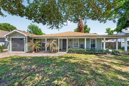 MOUNT DORA FL Home