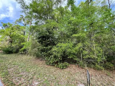 CHIEFLAND FL Property
