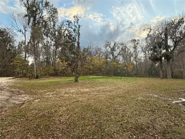 BELLEVIEW FL Property
