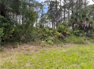 INVERNESS FL Property
