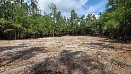 NEWBERRY FL Property