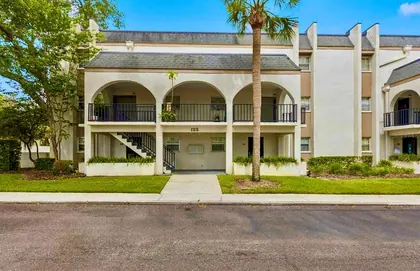 BRANDON FL Home