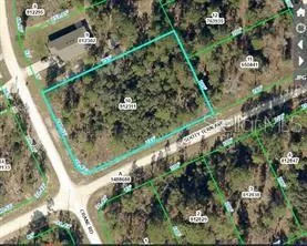 WEEKI WACHEE FL Property