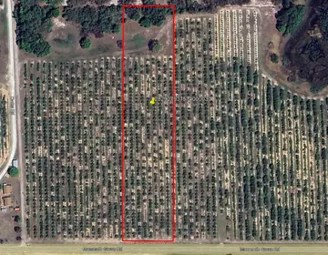 LAKE WALES FL Property