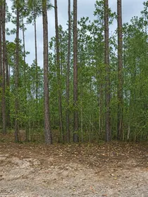 PALATKA FL Property