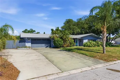 CLEARWATER FL Home