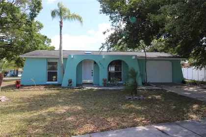 HOLIDAY FL Home