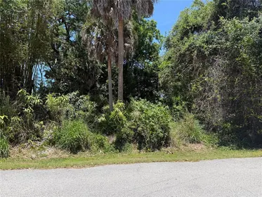 VENICE FL Property