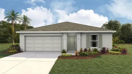 SUMMERFIELD FL Home