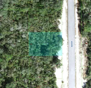 KISSIMMEE FL Property