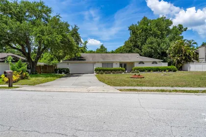 PALM HARBOR FL Home