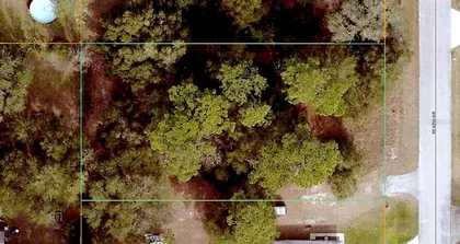 SUMMERFIELD FL Property
