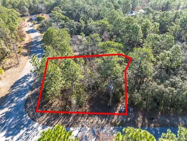 HOMOSASSA FL Property