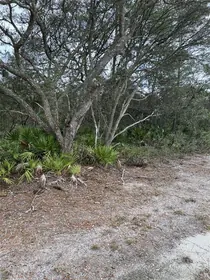 FORT MC COY FL Property