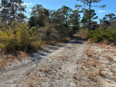 LAKE PLACID FL Property