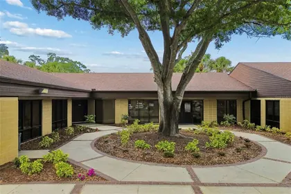 CLEARWATER FL Property
