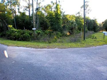 OCKLAWAHA FL Property