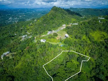 BAYAMON PR Property
