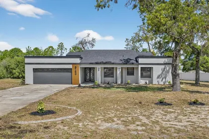 SPRING HILL FL Home