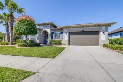 WESLEY CHAPEL FL Home