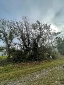 PORT CHARLOTTE FL Property