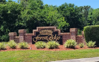 TARPON SPRINGS FL Property