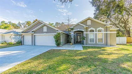 VALRICO FL Home