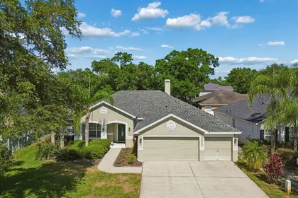 ODESSA FL Home