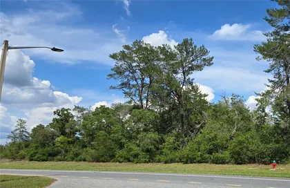 OCALA FL Property