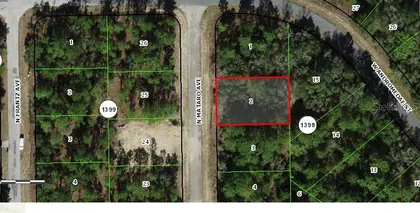 CITRUS SPRINGS FL Property