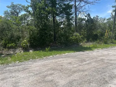 ORANGE CITY FL Property