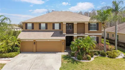 LAND O LAKES FL Home